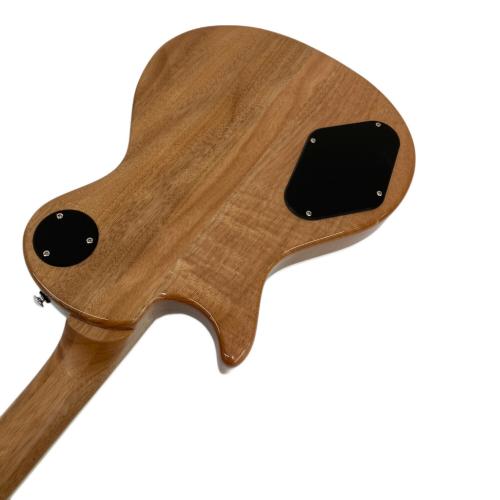 Paul Reed Smith (ポール リード スミス) SE Zach Myers Beveled エレキギター