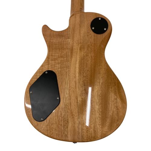 Paul Reed Smith (ポール リード スミス) SE Zach Myers Beveled エレキギター