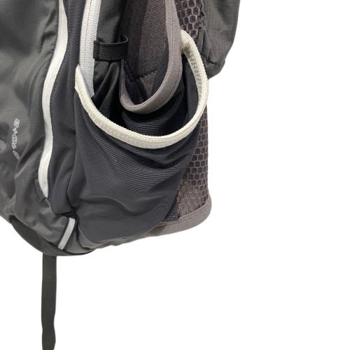 SALOMON (サロモン) ハイドレーションバッグ ブラック SKINPRO 10+3