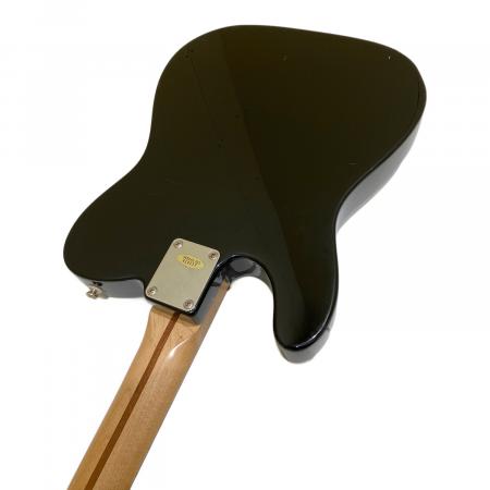 FENDER MEXICO (フェンダーメキシコ) Standard Telecaster