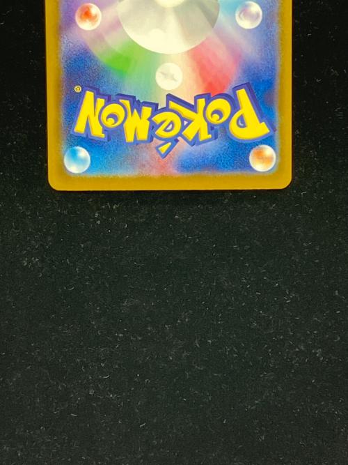 メガリザードンXex 110/080 SAR ポケモンカード