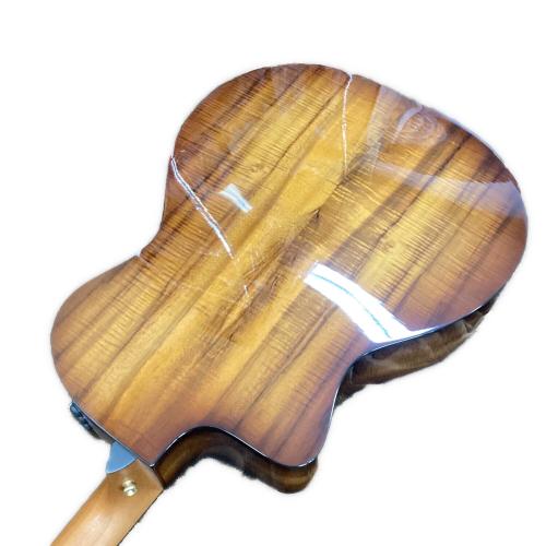 Taylor Guitars (ティラーギター) Grand Auditorium エレアコギター 224ce-k DLX