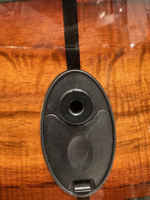 Taylor Guitars (ティラーギター) Grand Auditorium エレアコギター 224ce-k DLX