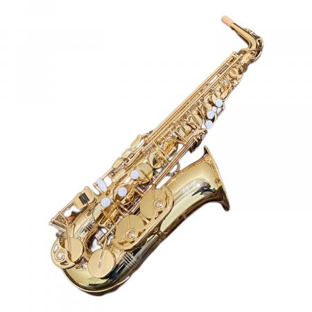 中古★Trevor J.James　トレバージェイムス　TJ373SK アルトサックス　セミハードケース付き TREVOR J. JAMES &CO Revolution サックス｜トレファクONLINE
