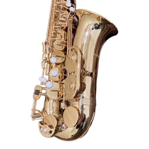 TREVOR J. JAMES &CO Revolution サックス