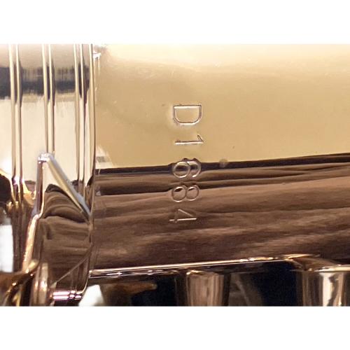 TREVOR J. JAMES &CO Revolution サックス