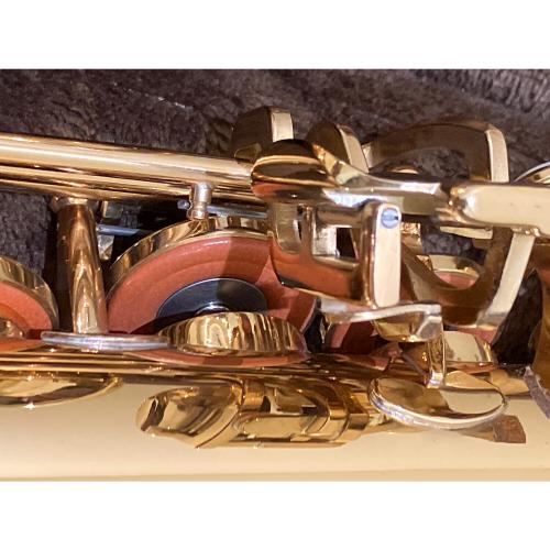 TREVOR J. JAMES &CO Revolution サックス