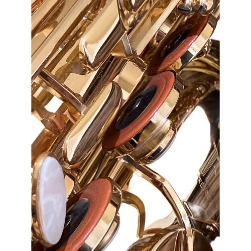 TREVOR J. JAMES &CO Revolution サックス