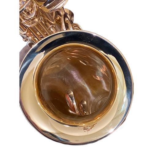 TREVOR J. JAMES &CO Revolution サックス