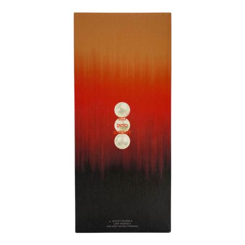 POP MART (ポップマート) Rock the universe vinyl plush doll ヌイグルミ