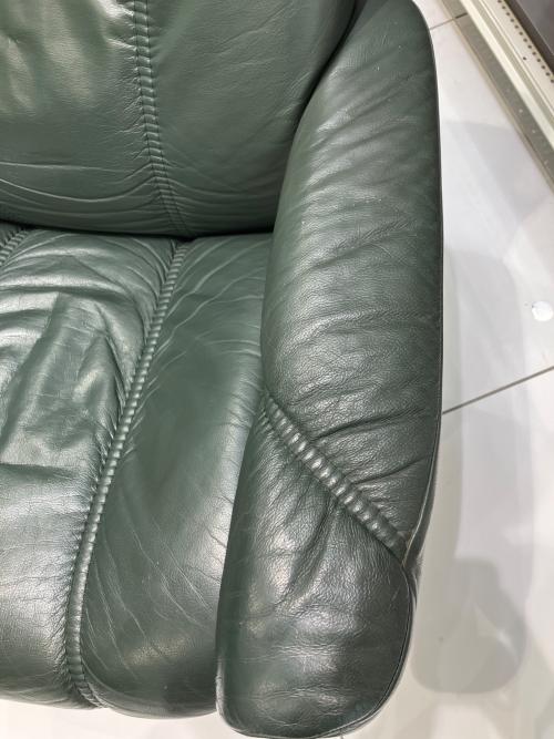 Ekornes (エコーネス) ストレスレスチェア 24 グリーン×ナチュラル コサル
