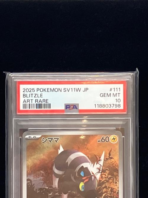 ポケモン シママ ポケモンカード 111/086 AR PSA10