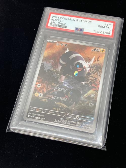 ポケモン シママ ポケモンカード 111/086 AR PSA10