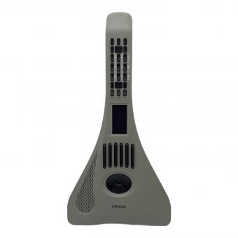 AIWA (アイワ) play RX01 JA2-NSCRX01 電子楽器