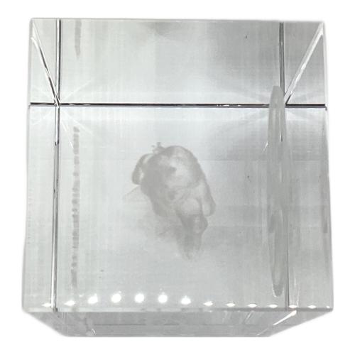 魔法使いの夜 蒼崎青子 3Dクリスタル エビテン限定特典