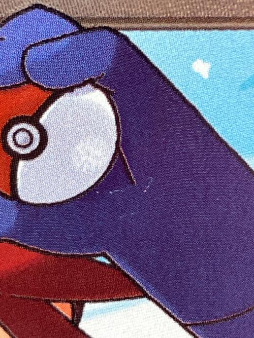 ポケモン フウロ ポケモンカード 076/070 SR プラズマゲイル
