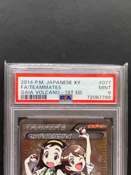 ポケモン センパイとコウハイ ポケモンカード 077/070 SR ガイア