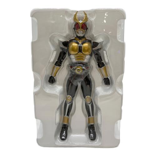 S.H.Figuarts (エス・エイチ・フィギュアーツ) 仮面ライダーアギト グランドフォーム 仮面ライダー 真骨彫製法