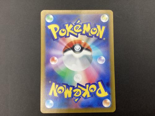 ポケモンカード テラパゴスex 130/102 SAR