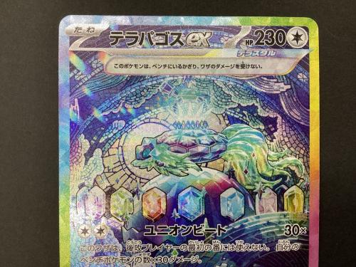 ポケモンカード テラパゴスex 130/102 SAR
