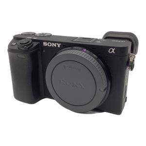 SONY (ソニー) デジタル一眼レフカメラ ブラック（ボディのみ） WW715296 専用電池 SDカード対応 3195173