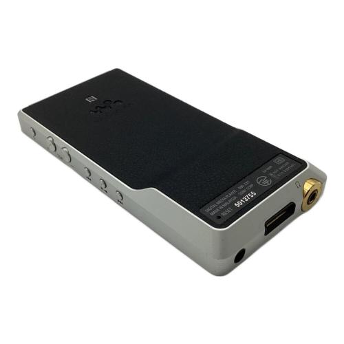 SONY (ソニー) WALKMAN NW-ZX1 5013755
