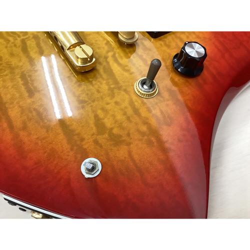 Burny (バーニー) エレキギター hideモデル MG-85X 動作確認済み