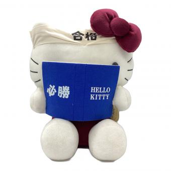 HELLO KITTY (ハローキティ) ぬいぐるみ シリアルナンバー付 304/500 合格