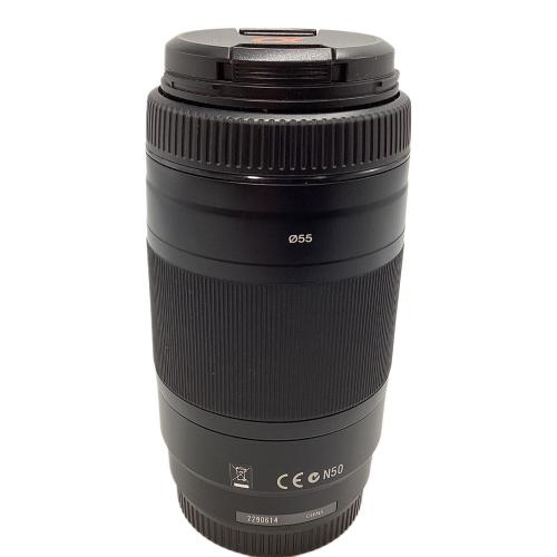 SONY (ソニー) レンズ SAL75300