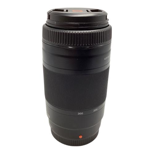 SONY (ソニー) レンズ SAL75300