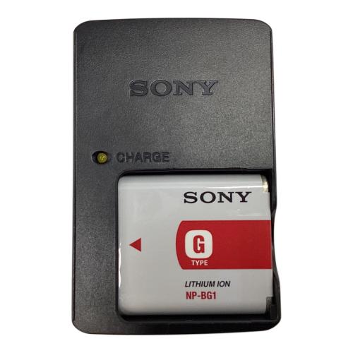SONY (ソニー) コンパクトデジタルカメラ DSC-HX5V 2010年発売モデル