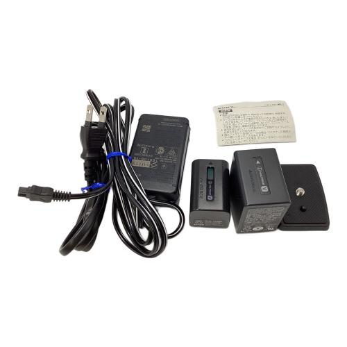 SONY (ソニー) ビデオカメラ FDR-AX40 2016年製