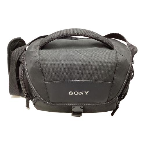 SONY (ソニー) ビデオカメラ FDR-AX40 2016年製