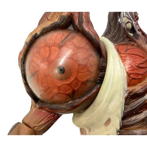 バイオハザード ウィリアムバーキン