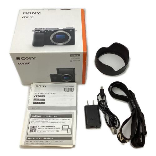 SONY (ソニー) ミラーレス一眼カメラ a6100 2019年発売モデル