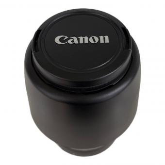 望遠レンズ Canon EFS55-250mm