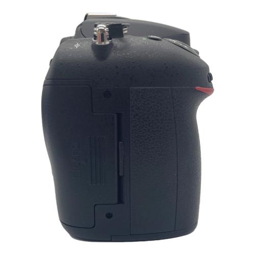 Nikon (ニコン) デジタル一眼レフカメラ 2013年製 D7100 2471万画素 専用電池 2104769