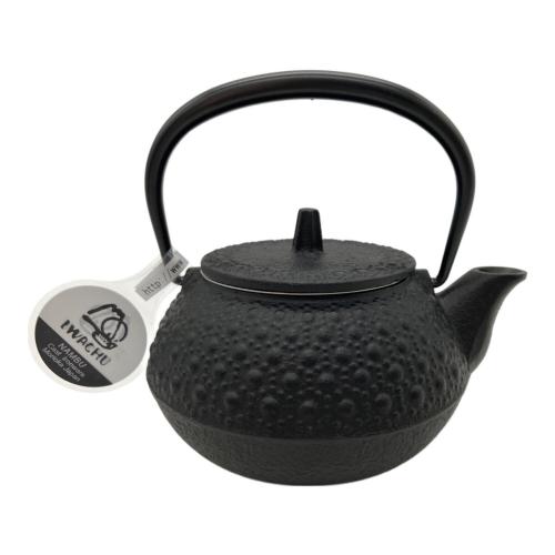 IWACHU (イワチュウ) 急須 急須3型新亀甲