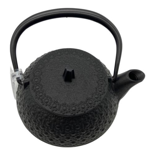 IWACHU (イワチュウ) 急須 急須3型新亀甲