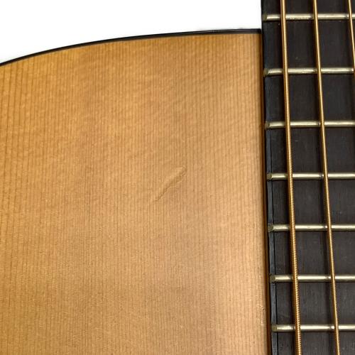 Larrivee (ラリビ) アコースティックギター @