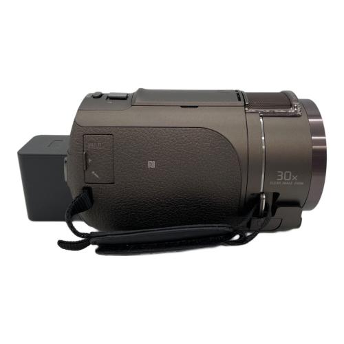 SONY (ソニー) ビデオカメラ FDR-AX45