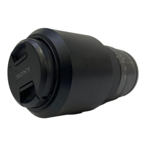 SONY (ソニー) ミラーレス一眼カメラ ILCE-6000