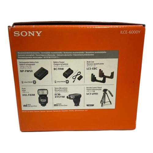 SONY (ソニー) ミラーレス一眼カメラ ILCE-6000