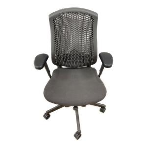 Herman Miller (ハーマンミラー) セラチェア アームステイ グレー