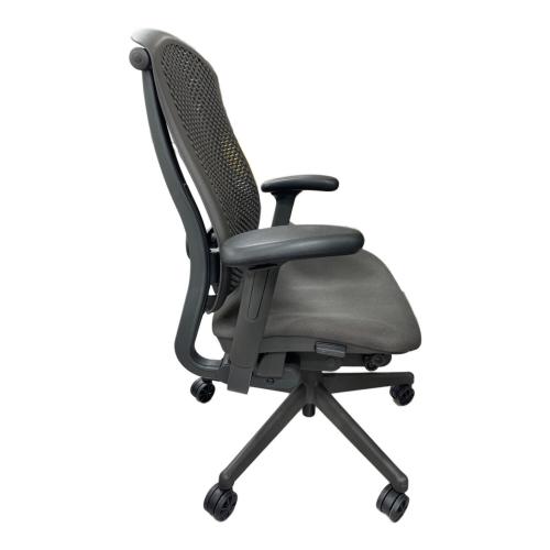 Herman Miller (ハーマンミラー) セラチェア アームステイ グレー