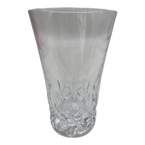 Baccarat (バカラ) ビアグラスセット アリア