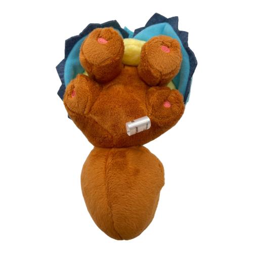 Pokemon Center (ポケモンセンター) ポンチョを着たイーブイ ヌイグルミ シャワーズ ポンチョシリーズ