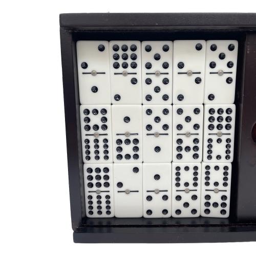 BICYCLE DOMINO