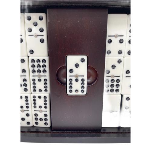 BICYCLE DOMINO