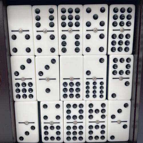 BICYCLE DOMINO